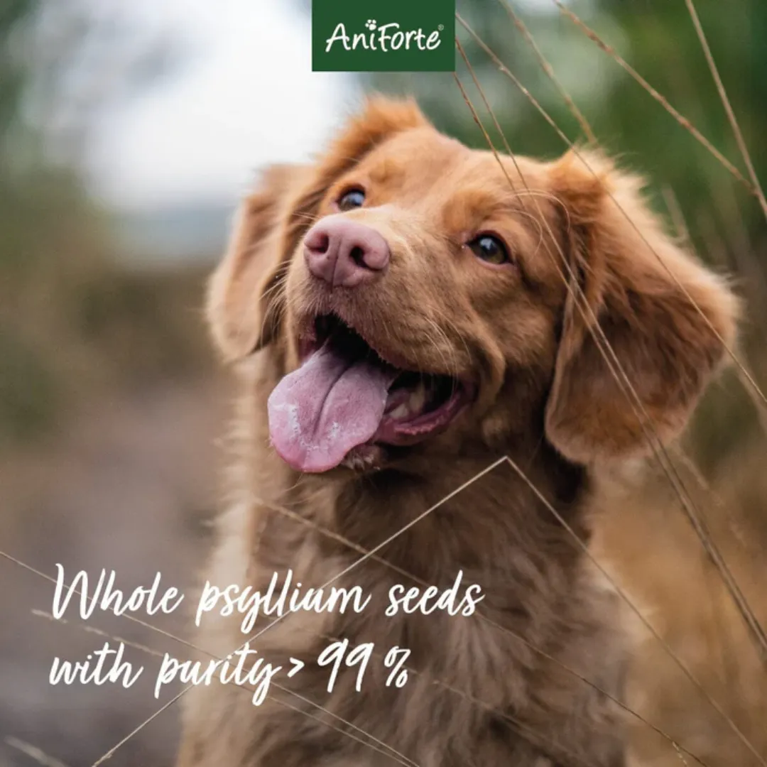 AniForte Indian Psyllium Seeds