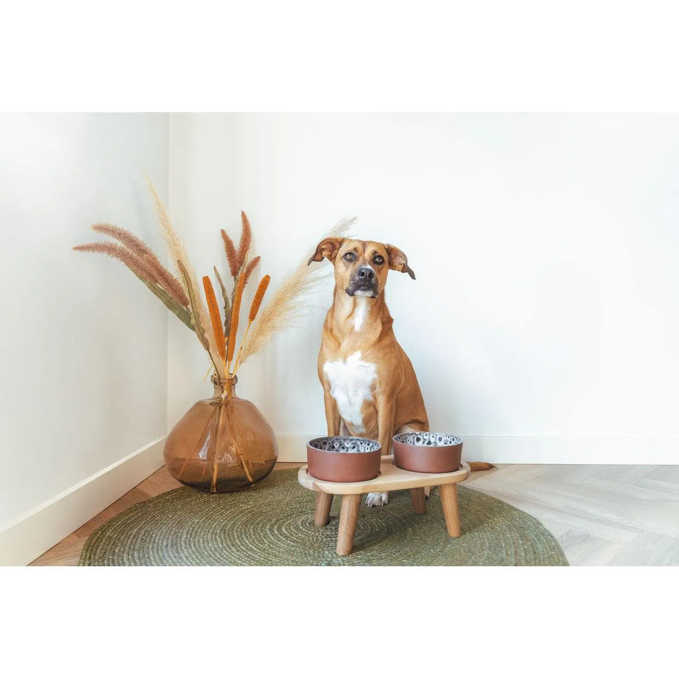 AVA | Premium Oak Dog Feeding Station