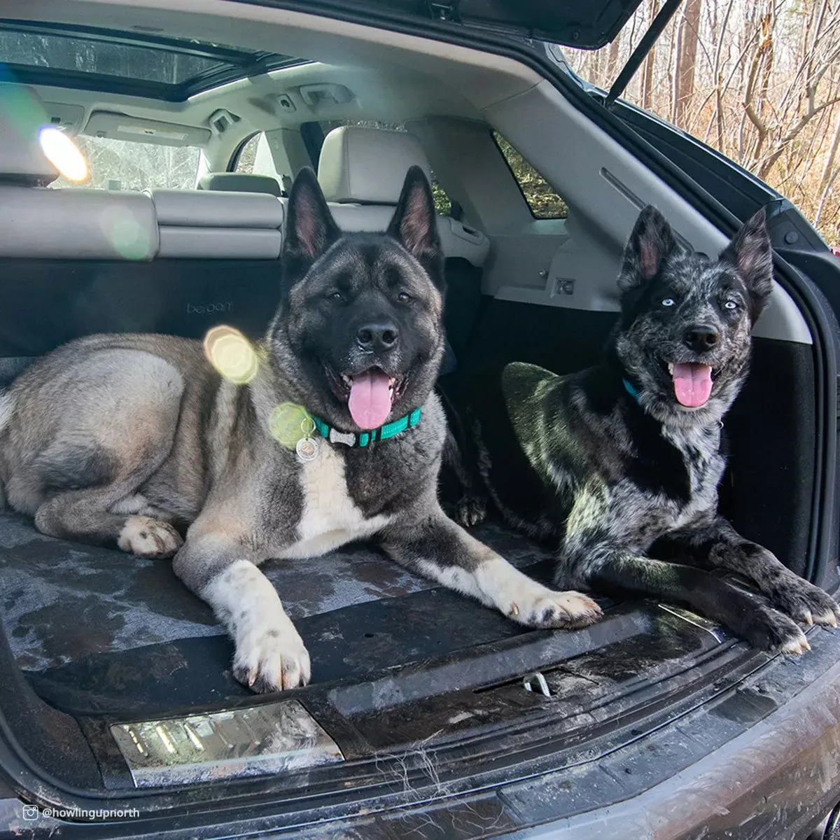 Bergan Auto Cargo Floor Cover