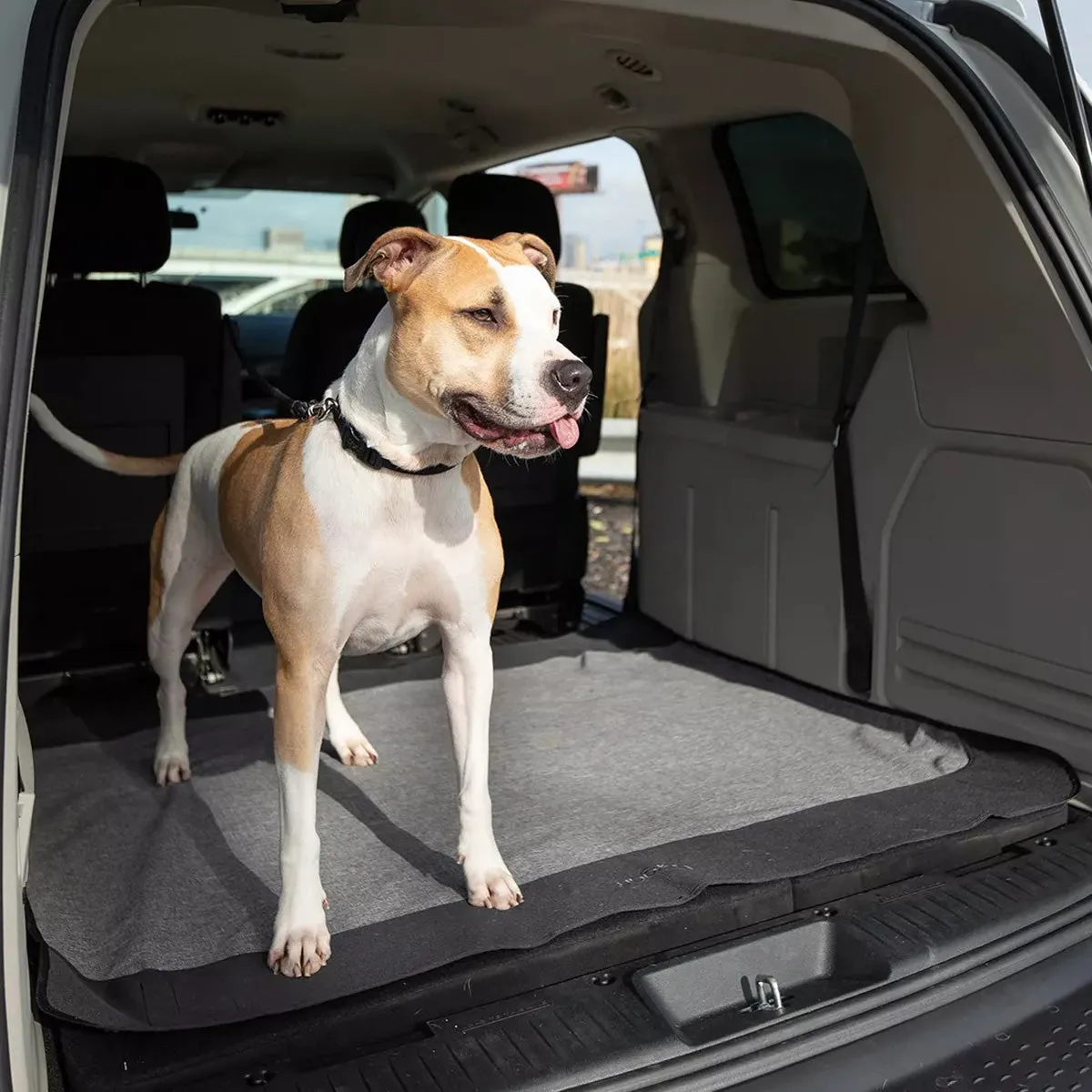 Bergan Auto Cargo Floor Cover