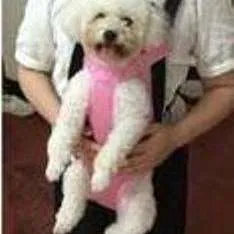 Buffalo Trail Pet Hugging Carrier