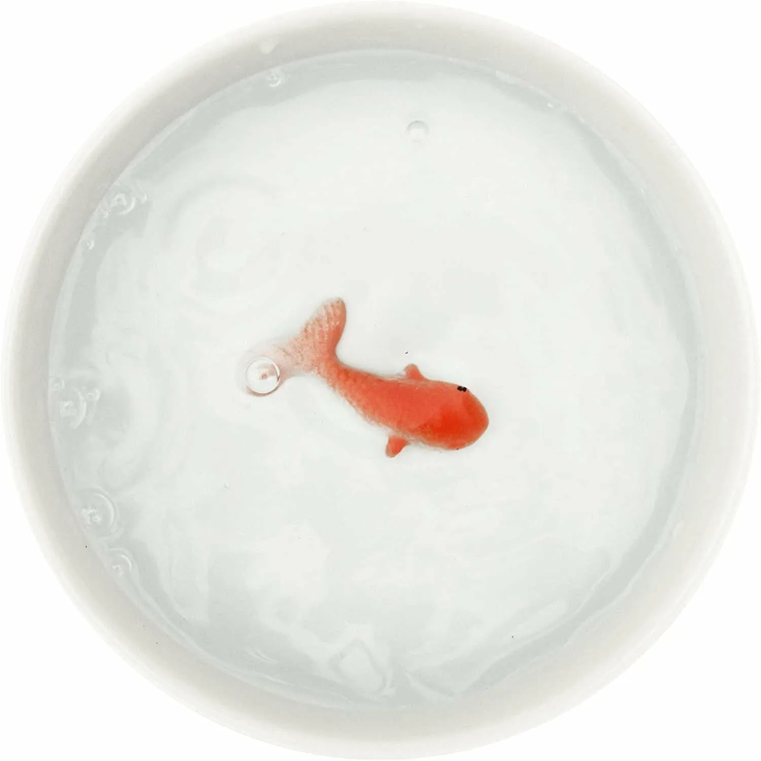 Goldfish Pet Bowl