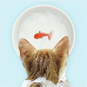 Goldfish Pet Bowl