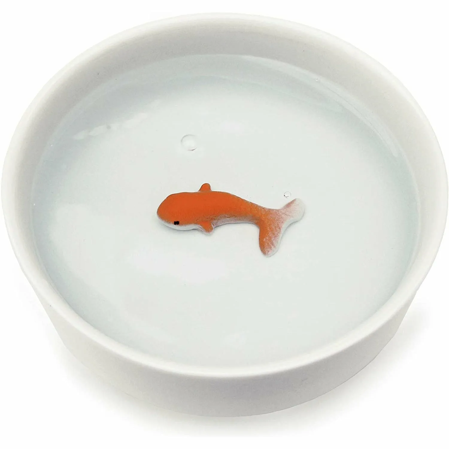 Goldfish Pet Bowl