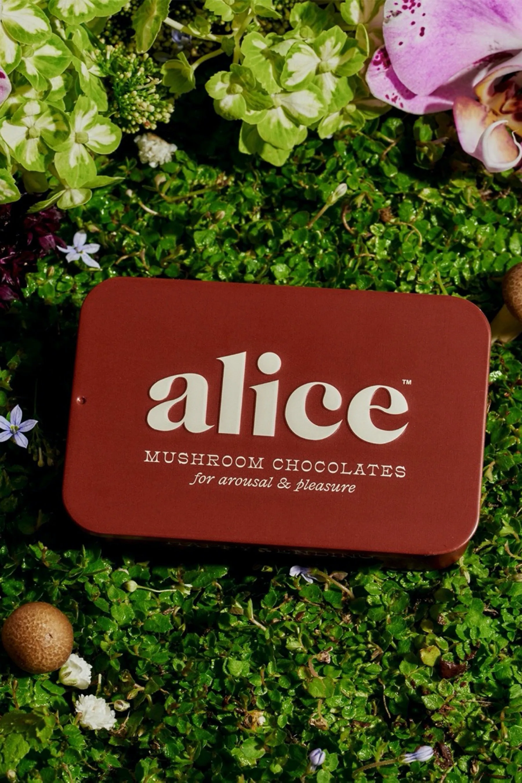 Happy Ending Mushroom Chocolate