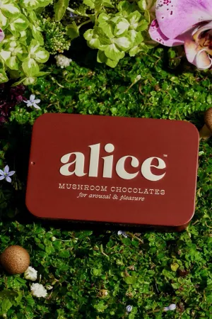 Happy Ending Mushroom Chocolate