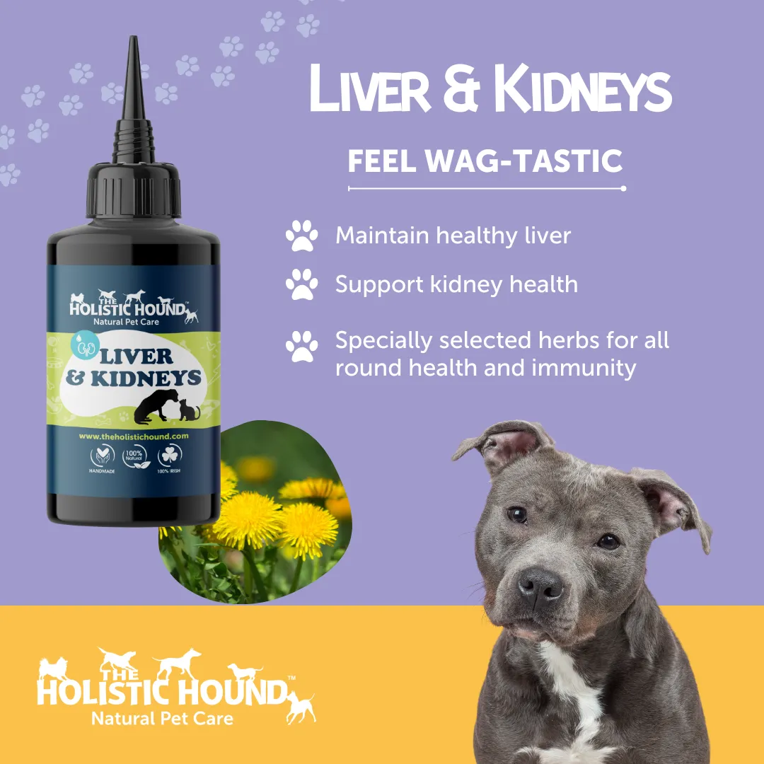 Holistic Hound Fundamentals Liver and Kidneys