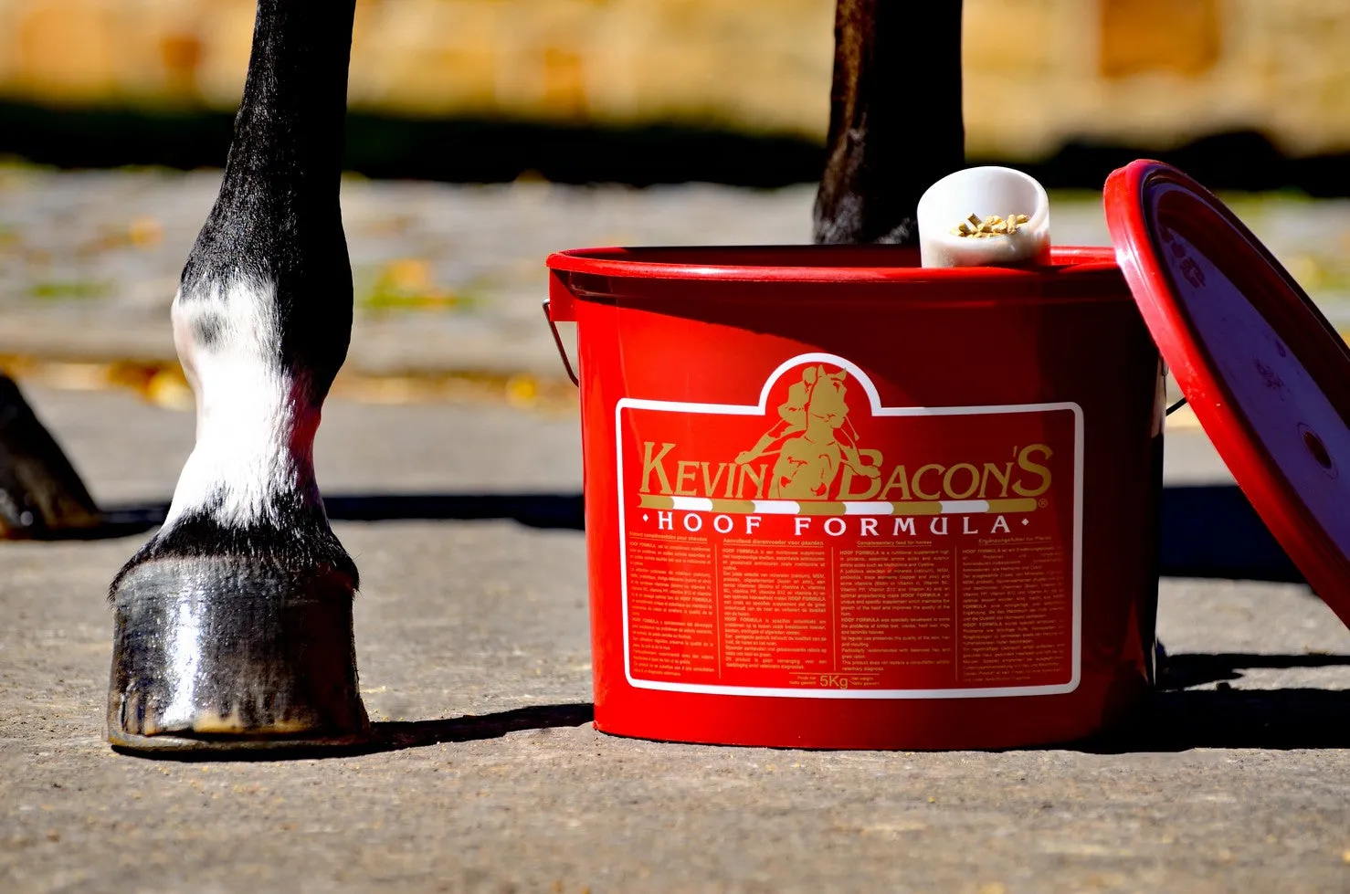 KEVIN BACON'S HOOF FORMULA