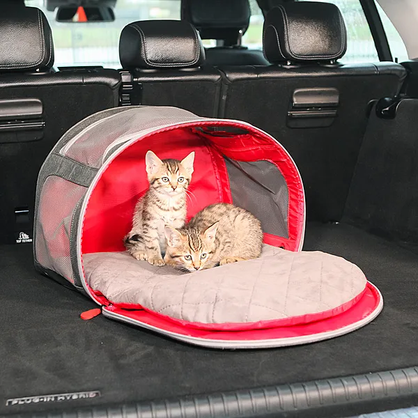 KONG 2-In-1 Pet Carrier & Travel Mat