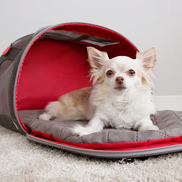 KONG 2-In-1 Pet Carrier & Travel Mat