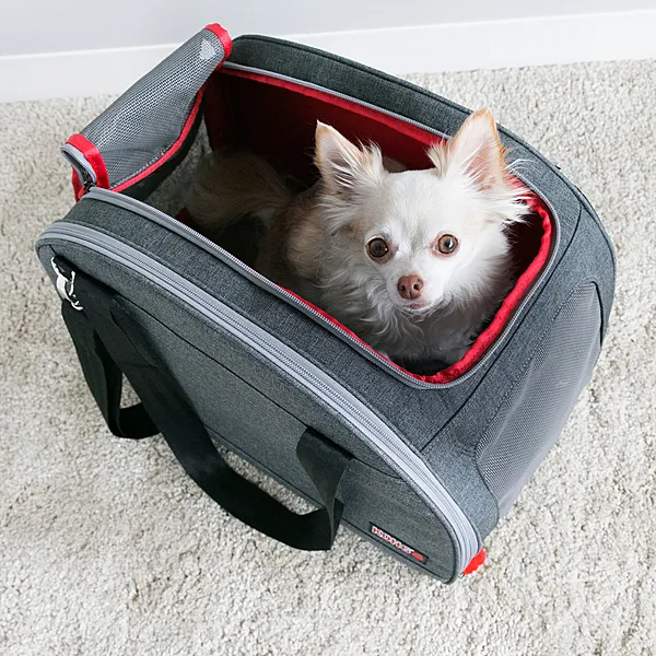 KONG 2-In-1 Pet Carrier & Travel Mat