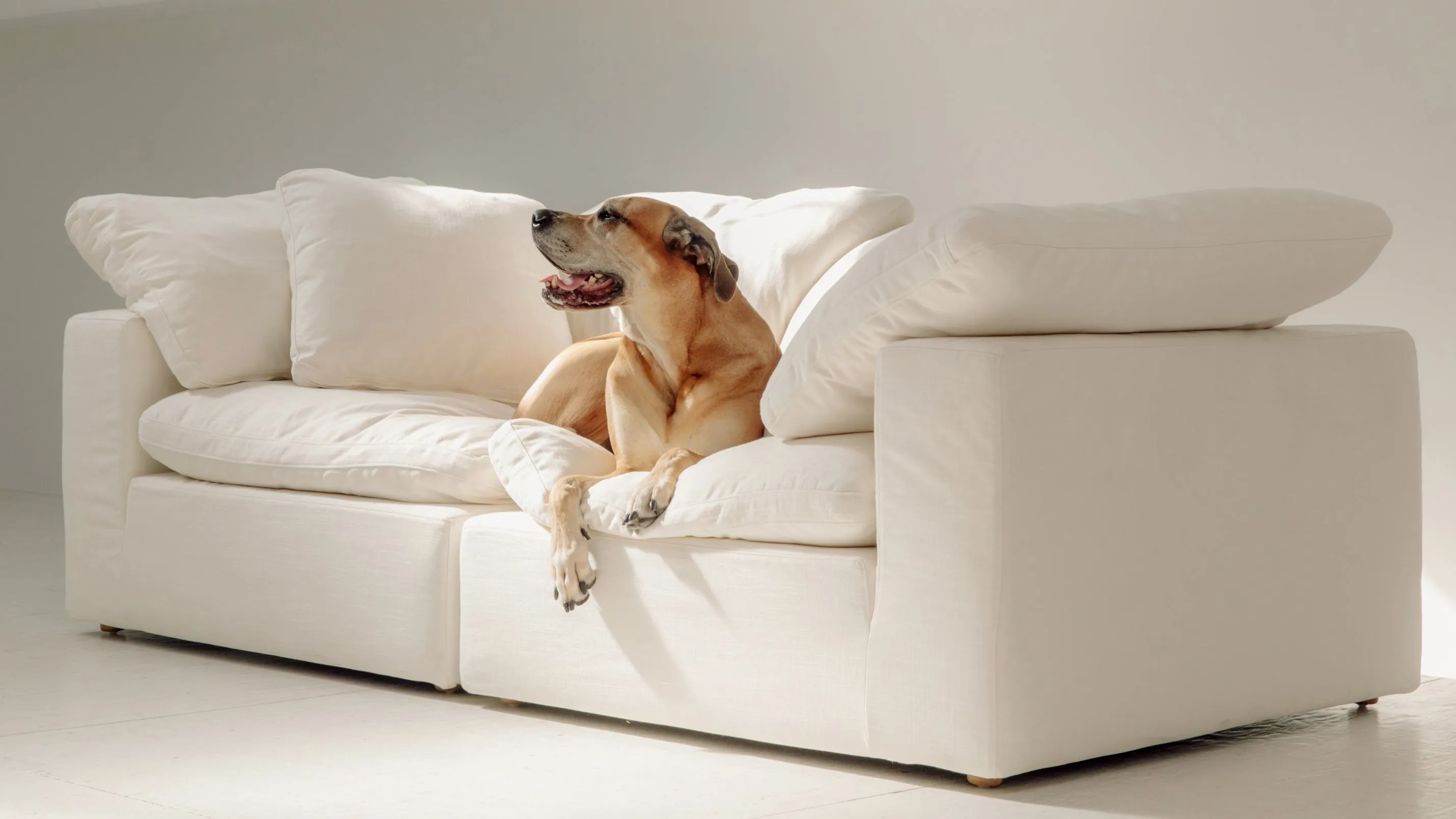 Movie Night™ 2-Piece Modular Sofa, Standard, Champagne