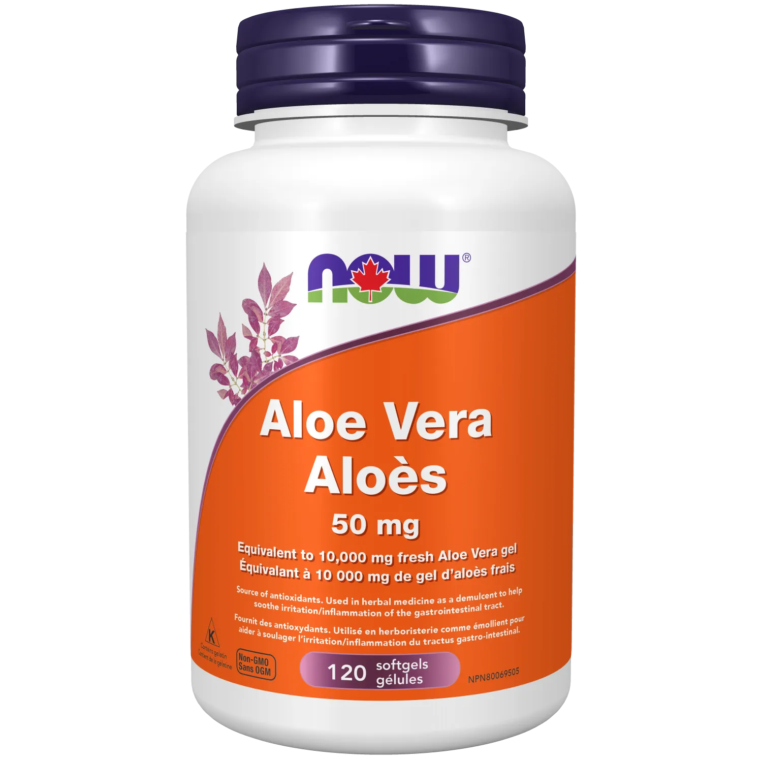 NOW® Supplements Aloe Vera Concentrate 50mg