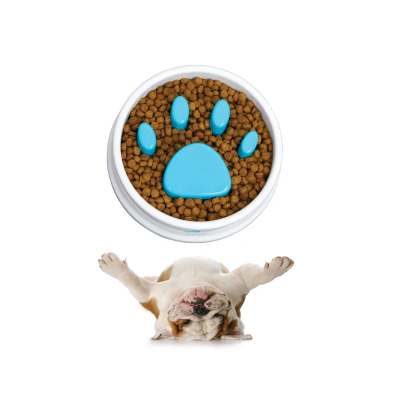 Pets Easy-To-Clean Bpa-Free Slower Feeder Bowl Rb -21