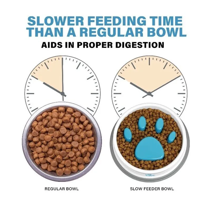Pets Easy-To-Clean Bpa-Free Slower Feeder Bowl Rb -21