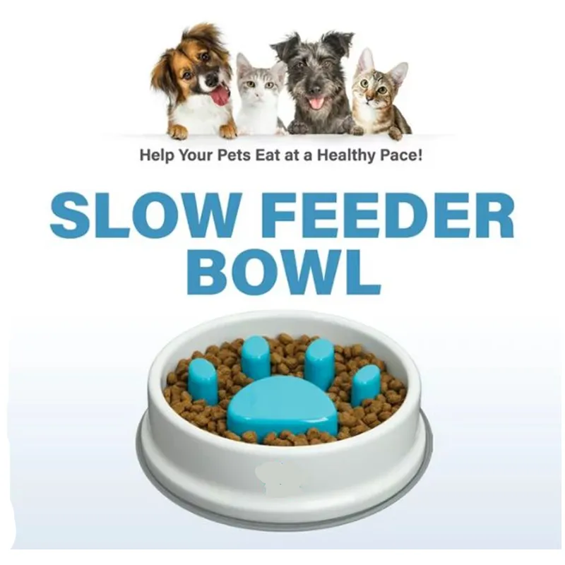 Pets Easy-To-Clean Bpa-Free Slower Feeder Bowl Rb -21
