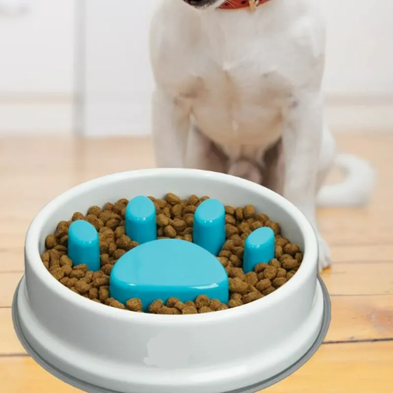 Pets Easy-To-Clean Bpa-Free Slower Feeder Bowl Rb -21