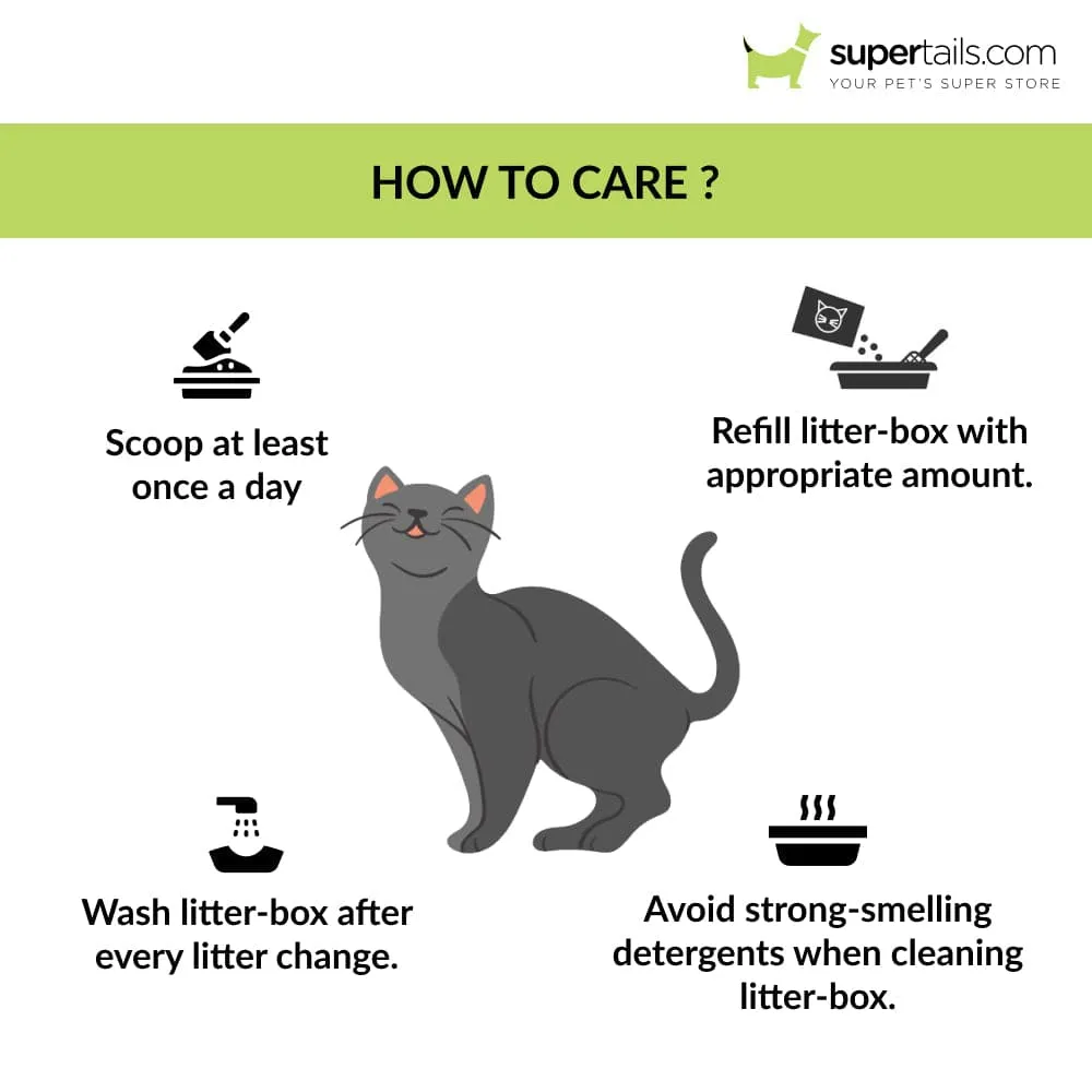 Trixie Brisko Litter Tray with Rim for Cats (Green)