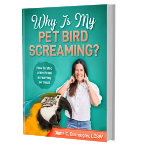 Why Is My Pet Bird Screaming? eBook